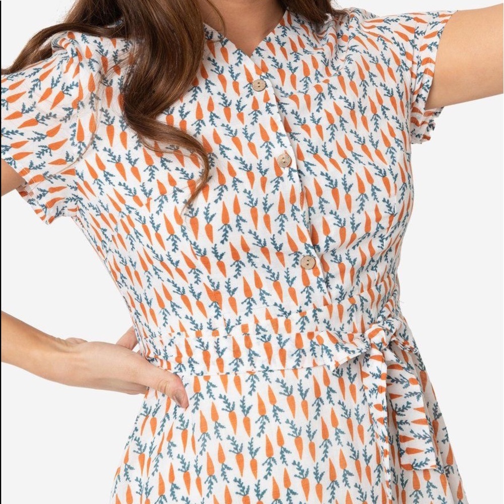 Adorable carrot print fit & flare dress NWOT